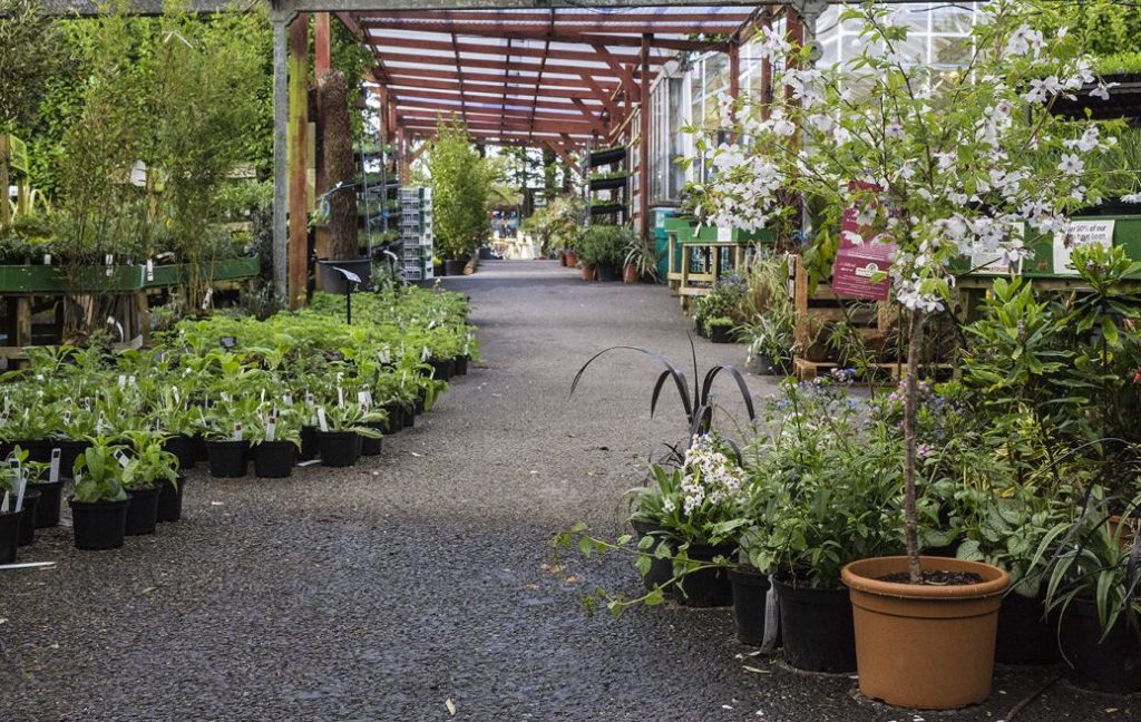 About Us Trevena Cross Nurseries in Cornwall