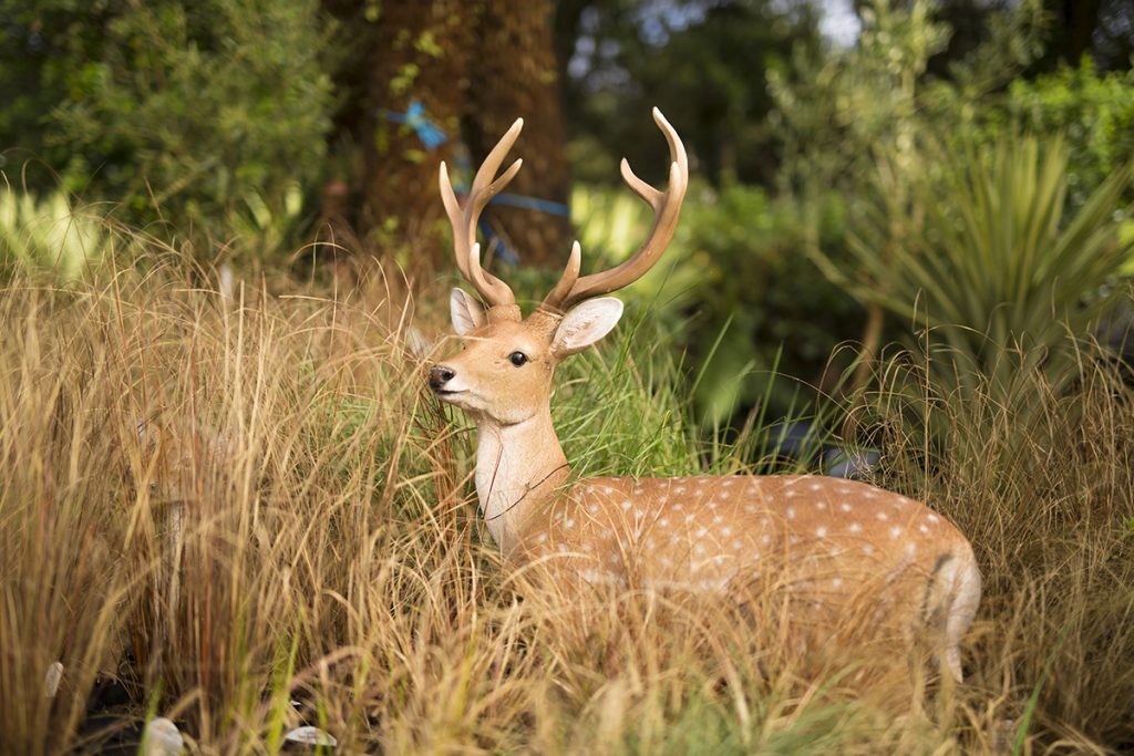 Deer amongst plants - Trevena Cross Animal Hunt