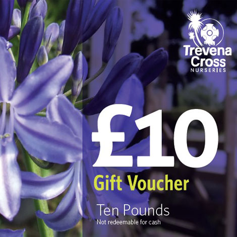 10 pound Trevena Cross Gift Voucher