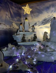 Penguins in Trevena Cross grotto 2018