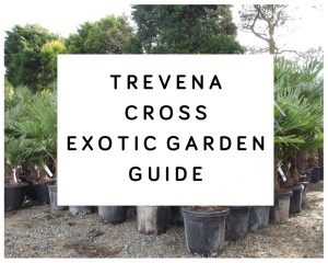 Trevena Cross Exotic Garden Guide