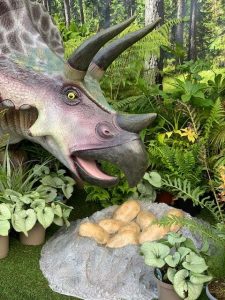 Triceratops with eggs